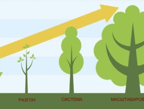 Развитие стартапов