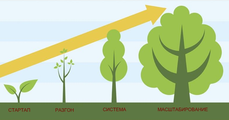 Развитие стартапов